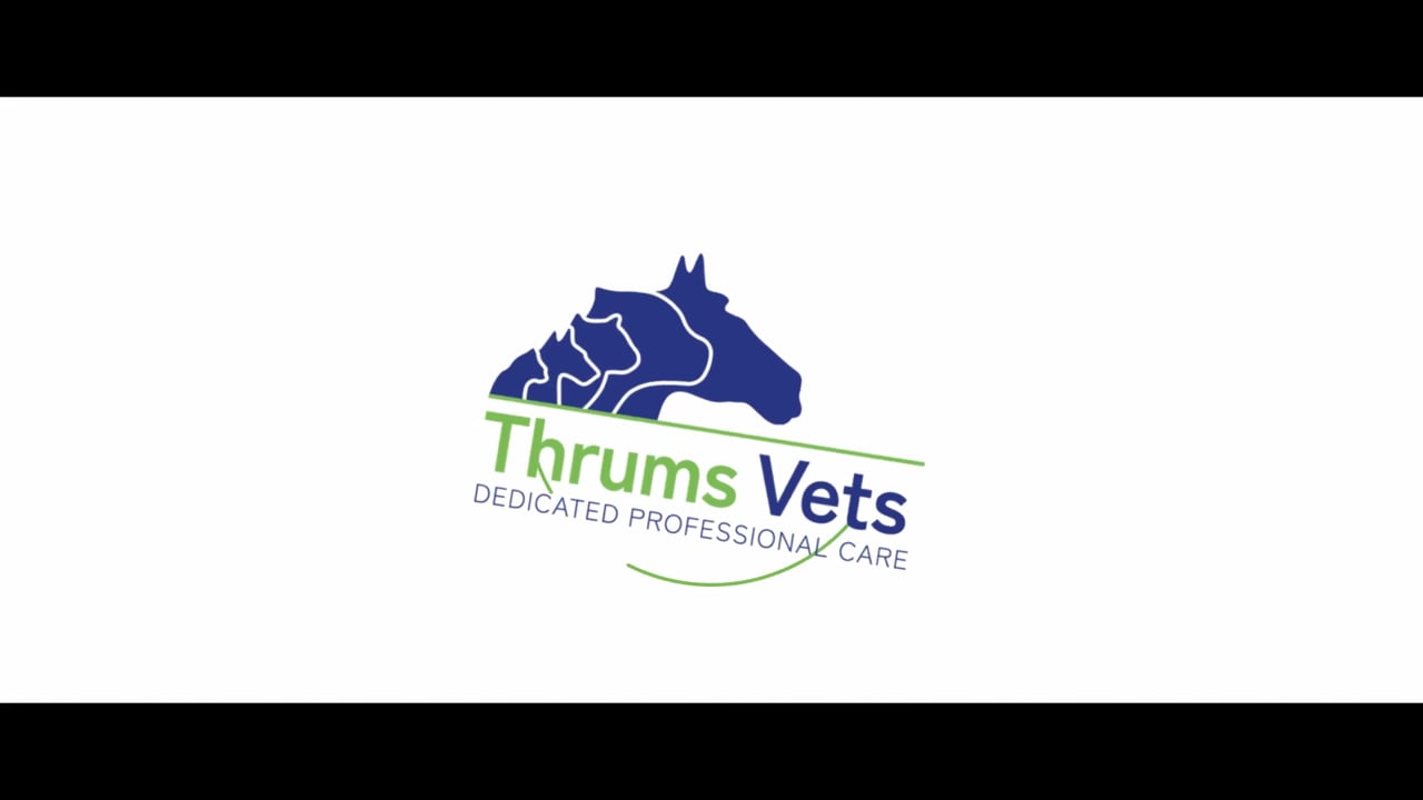 Thrums Vets